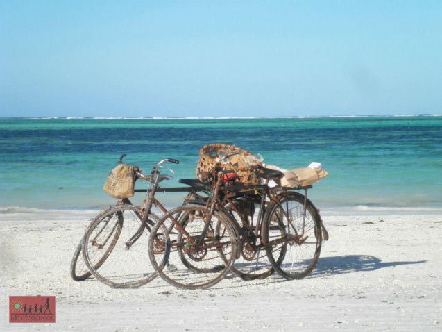 304657_3628784438282_1266100532_n (2)